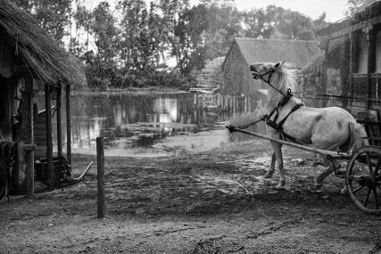 Foto Jan Dobrovský