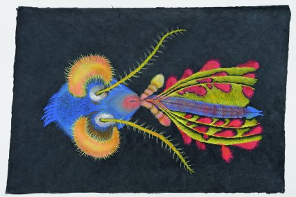 Cyklus „Hmyz“, 2022–2025, olejový pastel na himalájském papíře, 76 × 50 cm
